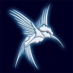 Символ колибри