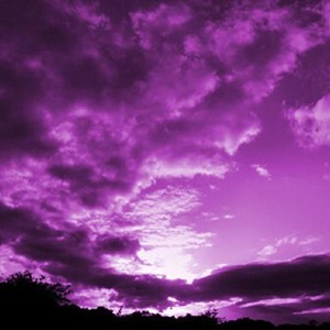 Пурпурный цвет