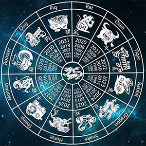 Китайский гороскоп карьеры