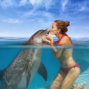 Лечение с помощью дельфинов