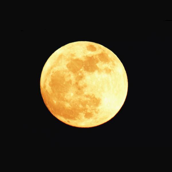 Луна без курса в 2026 году